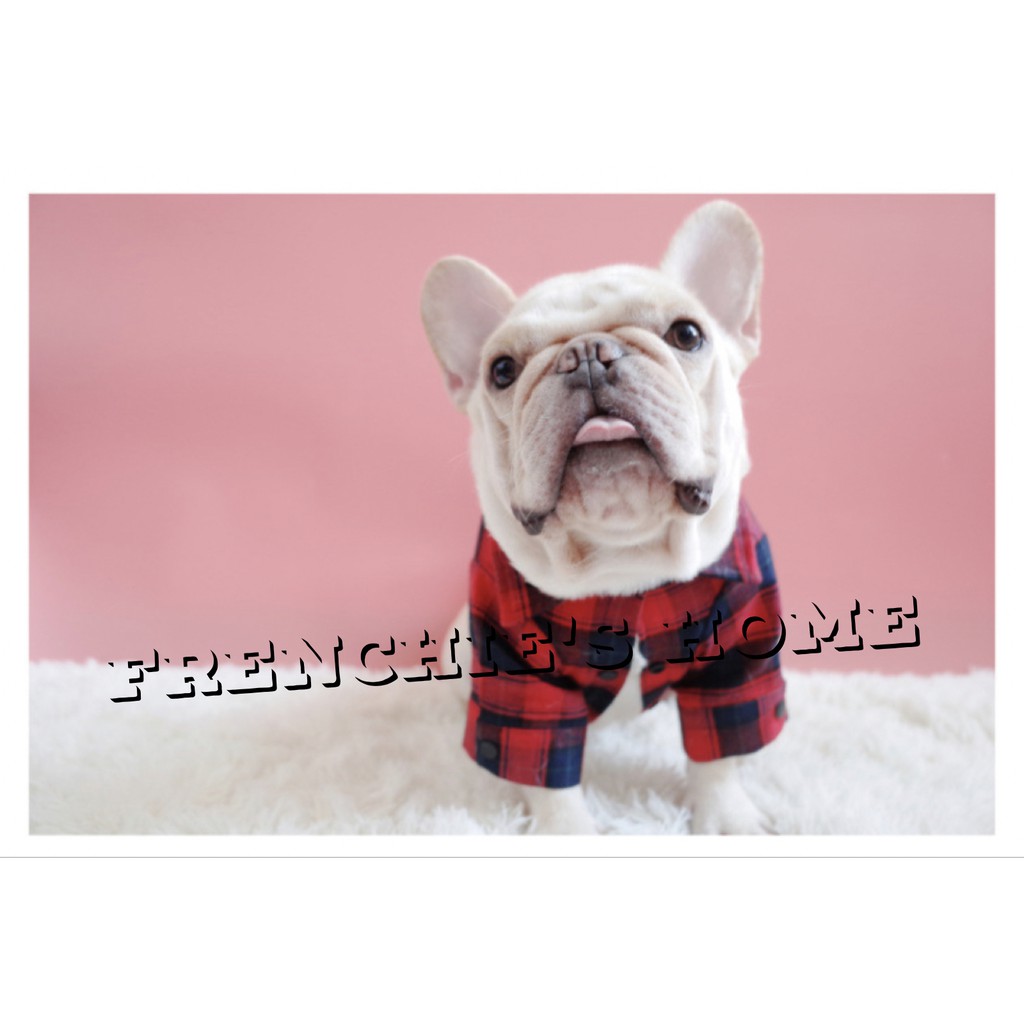 ÁO SƠ MI NOEL "CARO ĐỎ ĐEN HIPHOP" CHO CHÓ BULL/PUG ( FRENCHIE'S SHIRT )