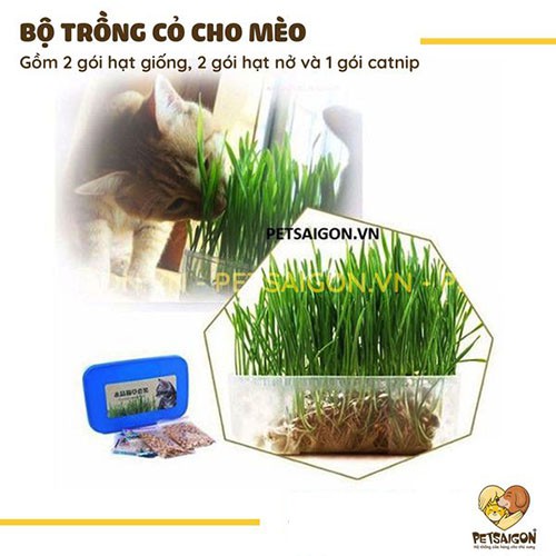 BỘ TRỒNG CỎ CHO MÈO GIÚP ĐẨY BÚI LÔNG