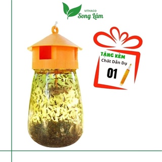 Dụng cụ bẫy ruồi vàng, bình bẫy ruồi vàng, ruồi giấm đục quả tặng kèm th.uốc dẫn dụ