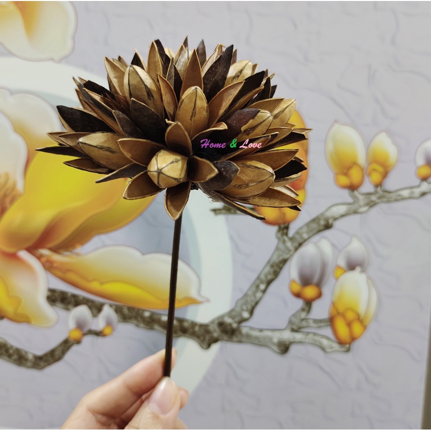 Hoa Gỗ Khô Mộc Lan/Magnolia Ball  Decor Trang trí Hoa Nghệ thuật Phong Cách Vintage