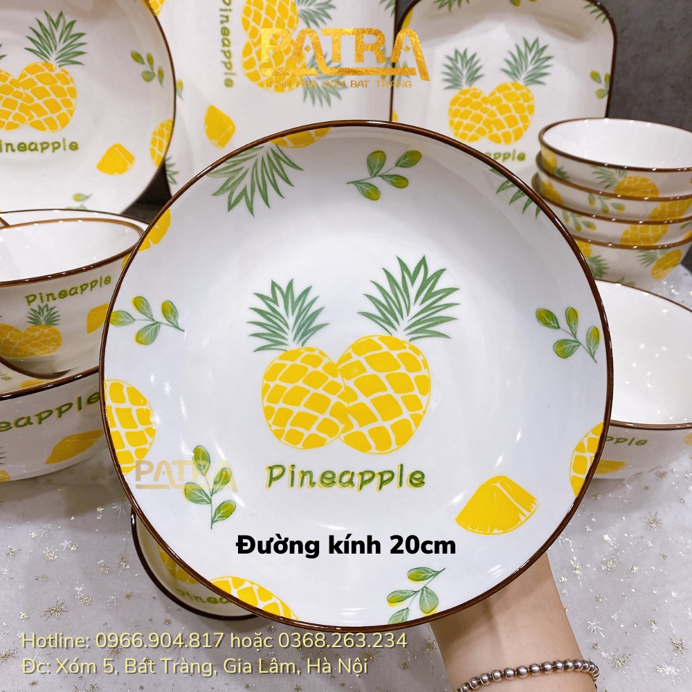 Bộ bát đĩa sứ cao cấp, bộ chén dĩa decor đẹp họa tiết dứa viền nâu siêu xinh