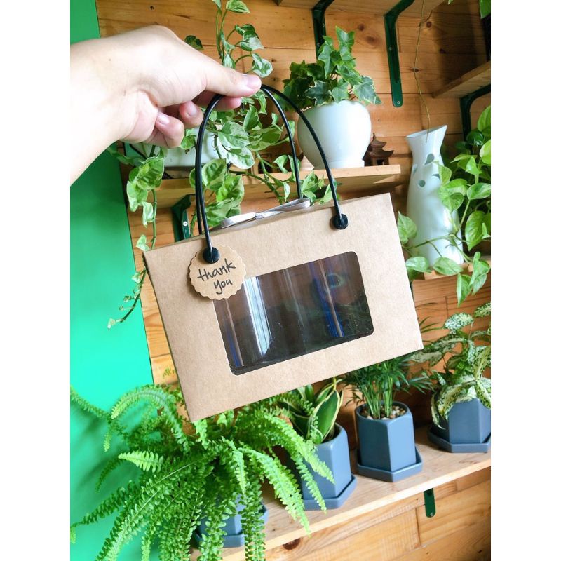 Hộp đựng bánh dứa Kraft set 10 hộp/20 hộp