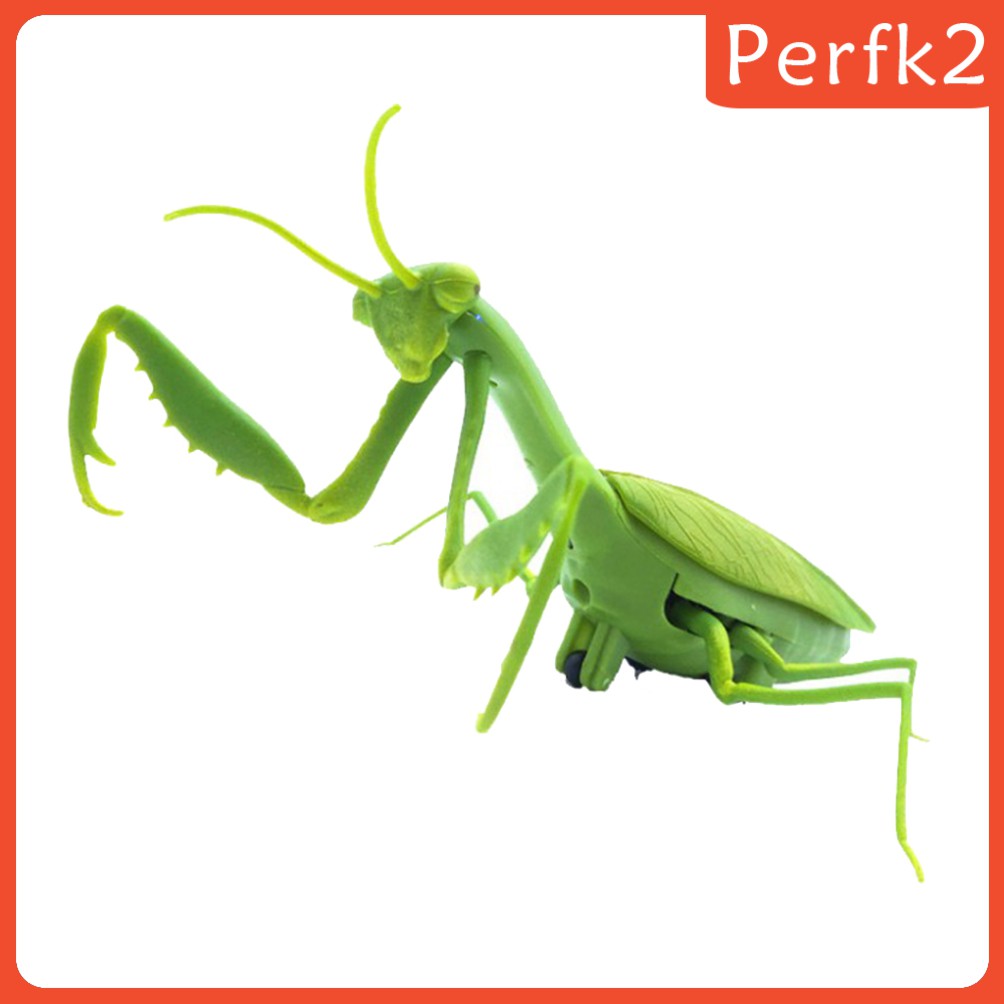 (Hàng Mới Về) Set 2 Mô Hình Côn Trùng Bằng Nhựa Giáo Dục Bé