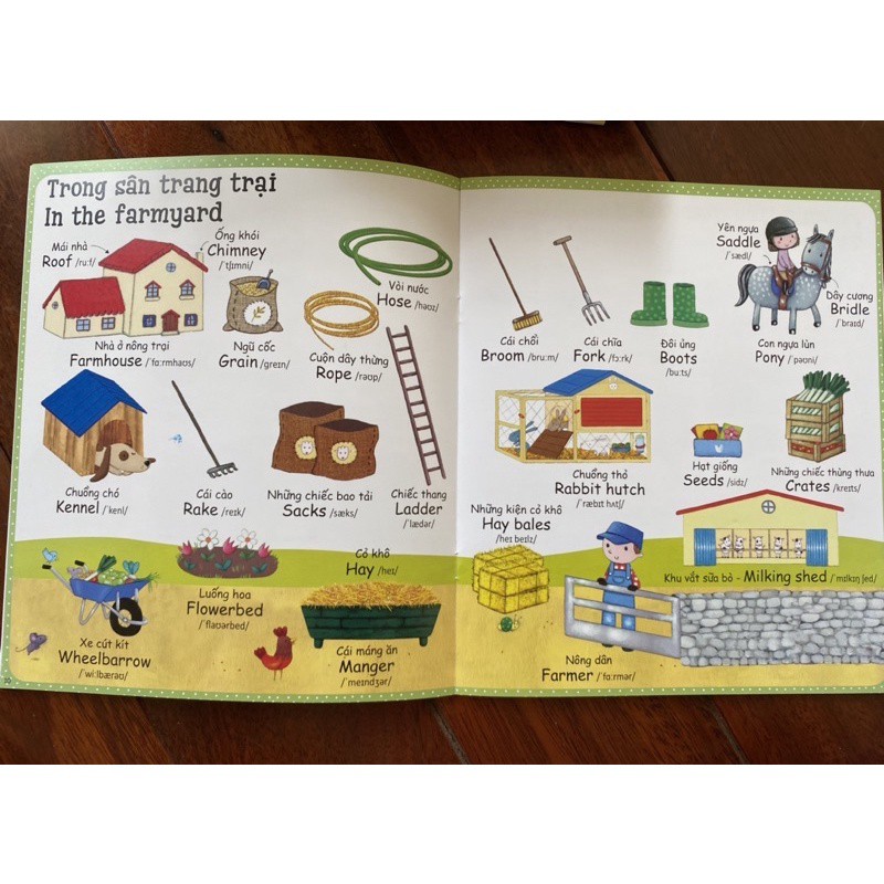 Sách -Cuốn sách từ vựng đầu tiên của tôi