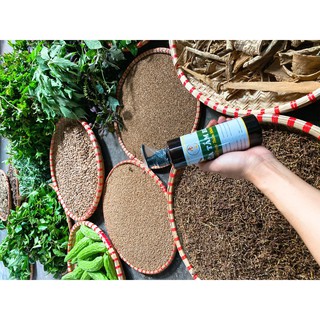 SỮA TẮM GỘI THẢO DƯỢC CHO BÉ