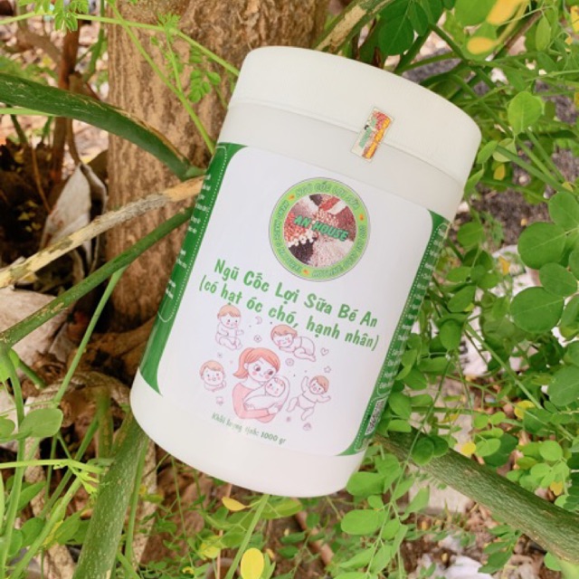 Ngũ cốc lợi sữa Bé An (Có hạt óc chó, hạnh nhân)