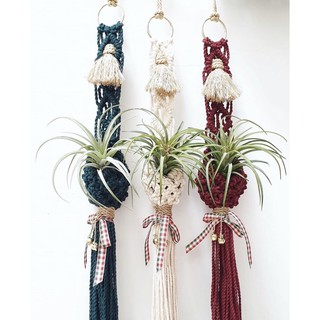 Mành Treo Cây Không Khí Macrame