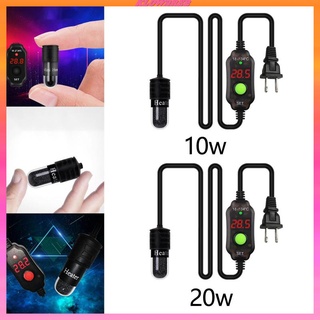 Máy sưởi bể cá chìm nhiệt cho Betta