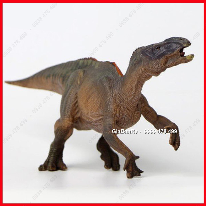 Mô Hình Khủng Long Ăn Cỏ Chân Chim Iguanodon - 7721.1