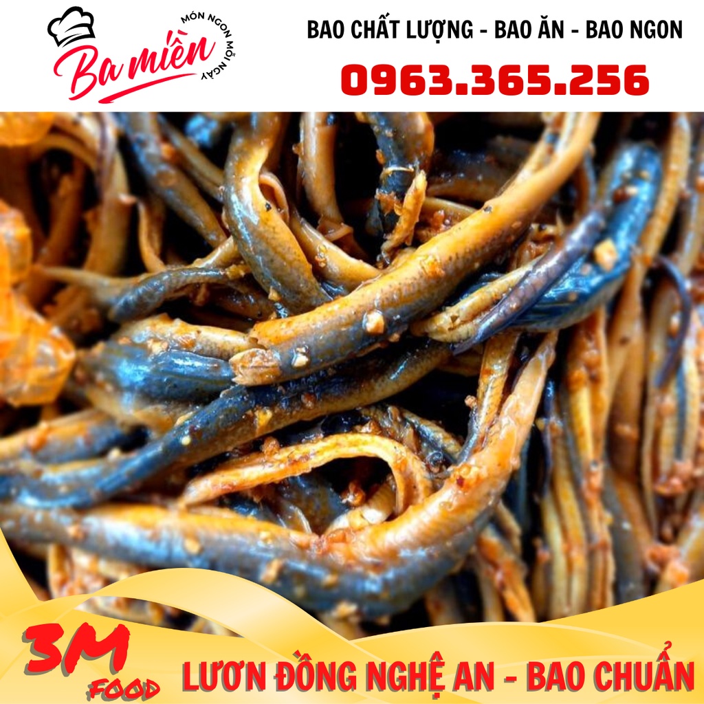 Thịt lươn đồng, Lươn đồng nghệ an ướp chuẩn vị  3M FOOD DS
