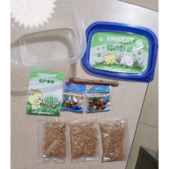 SET TRỒNG 3 TÚI CỎ MÈO TẶNG 1 CÂY GỖ LÀM SẠCH RĂNG CHISCAT – HẠT GIỐNG CHẤT LƯỢNG TỐT NHẤT