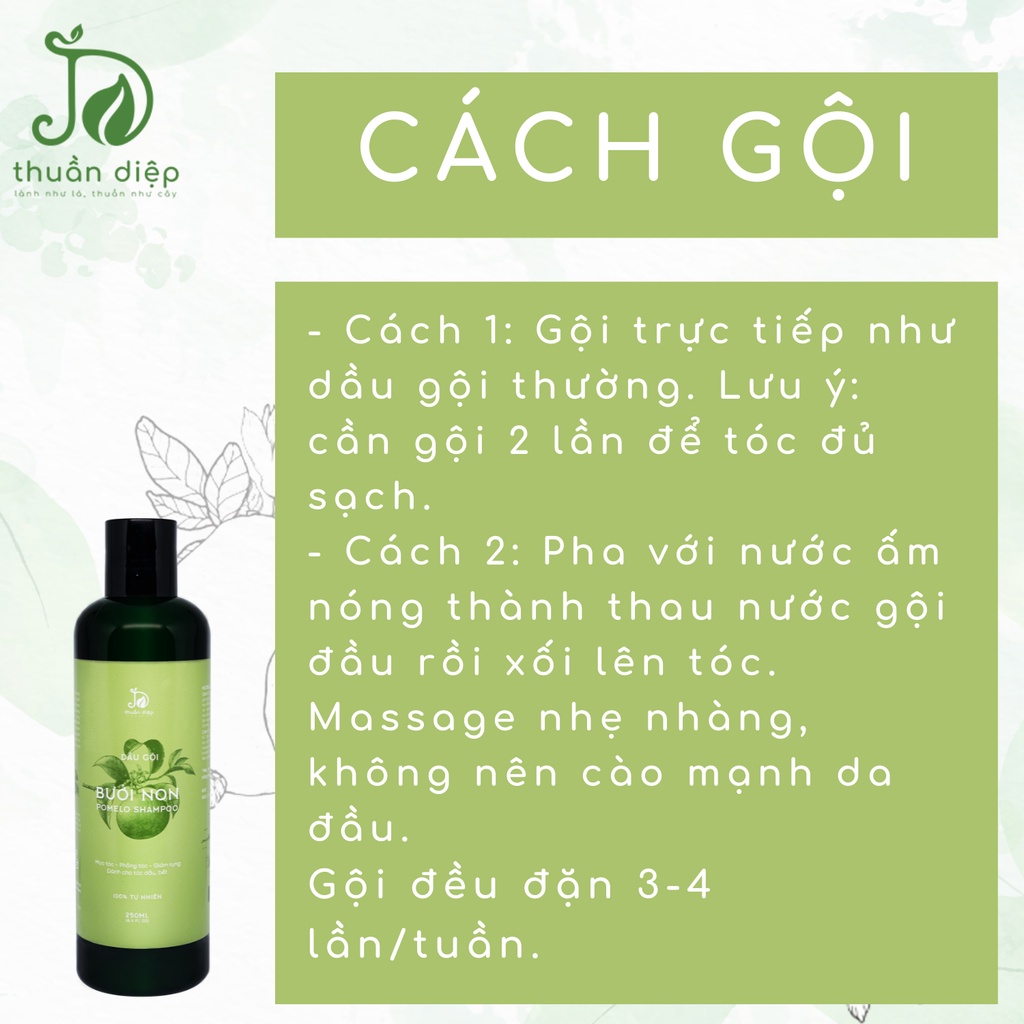 Dầu gội bưởi non mọc tóc nhanh, giảm rụng tóc, tóc chắc khỏe suôn mượt handmade Thuần Diệp