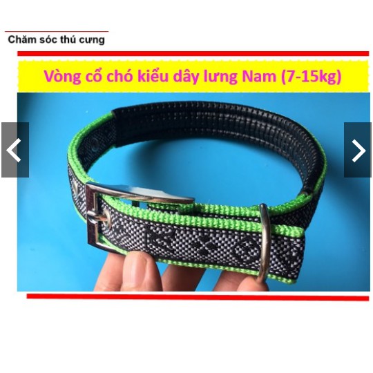 Vòng cổ cho chó - Kiểu dây lưng NAM, loại có đệm cổ (LADIEP 340)