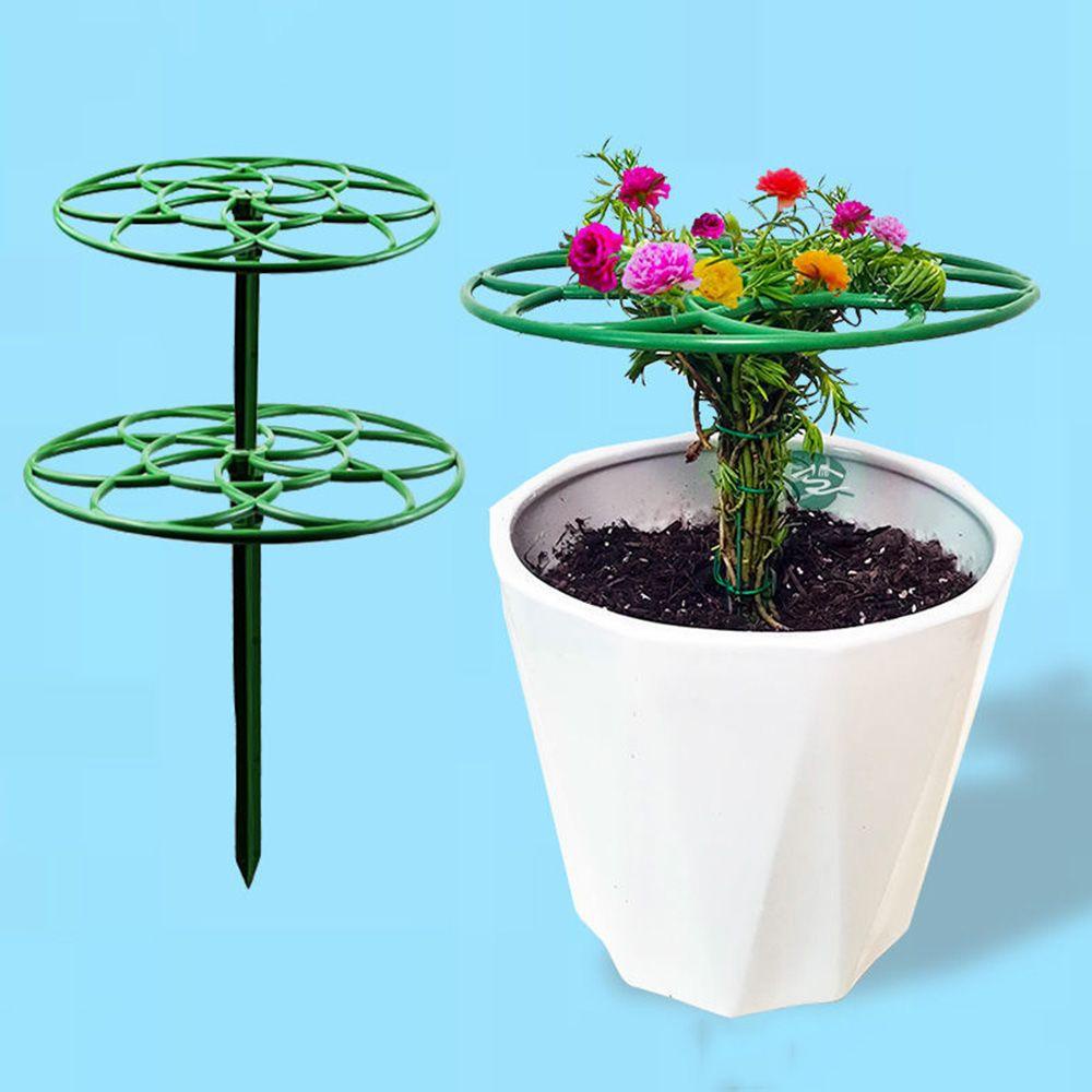 Set 2 Khung Đỡ Hỗ Trợ Trồng Cây Thân Leo Siêu Bền Tiện Dụng