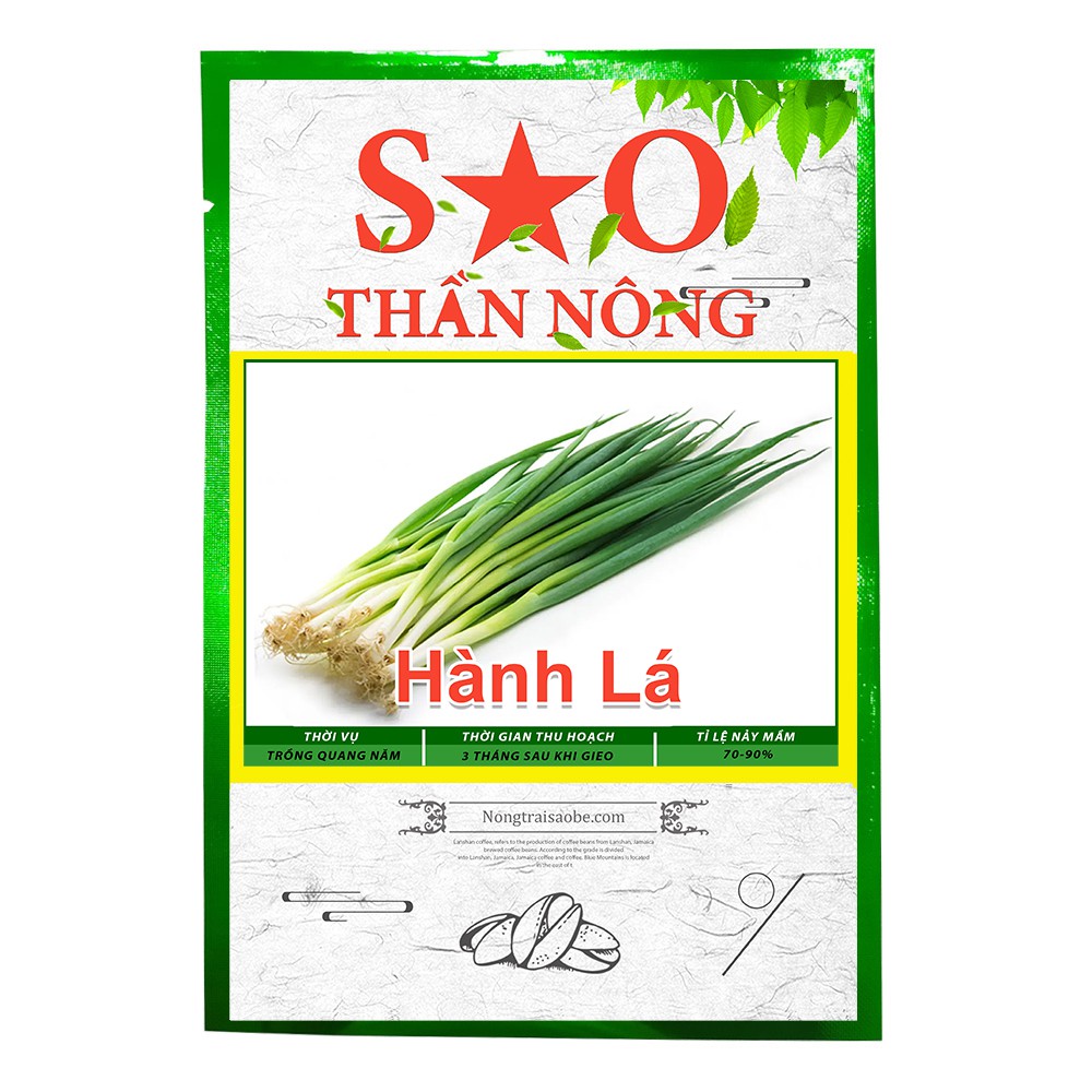 Hạt giống hành lá Sao Thần Nông