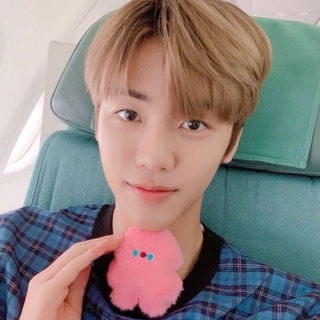 Móc khoá nhồi bông quái vật Dreaming Monster cheap moment NCT Jaemin