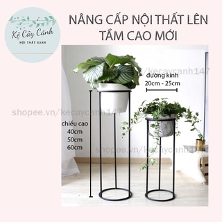 KỆ CÂY CẢNH CHÂN TRÒN ✨ SANG TRỌNG ✨ PHỤ KIỆN KHÔNG THỂ THIẾU CHO NỘI THẤT HIỆN ĐẠI