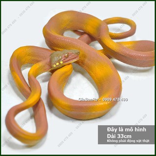 Mô Hình Rắn Trăn Boa - 7669.9