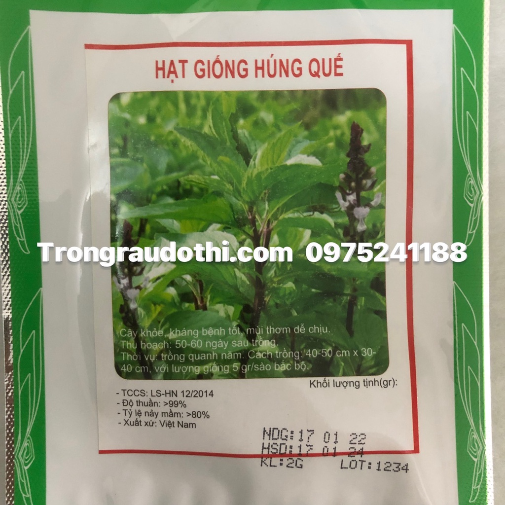Hạt giống rau húng quế