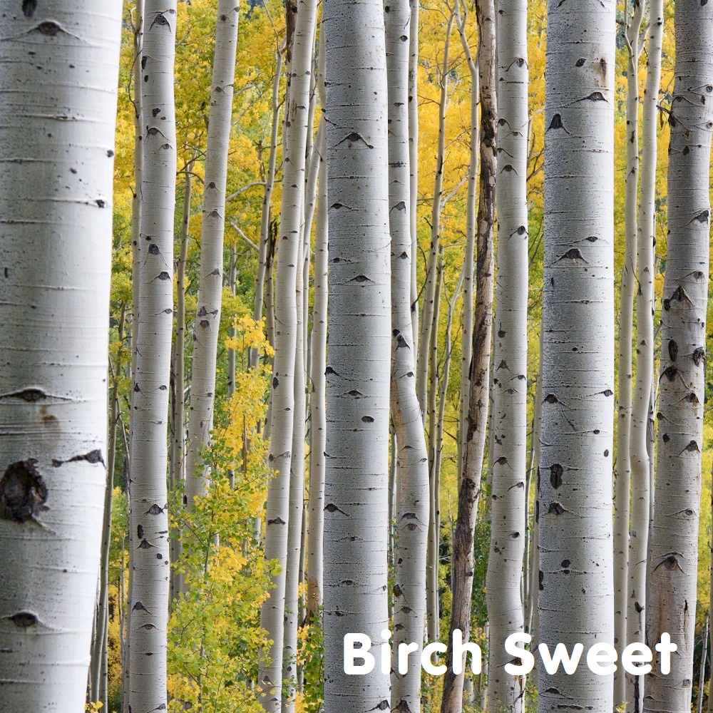 Tinh dầu Bạch Dương Birch Essential Oil (Sweet)