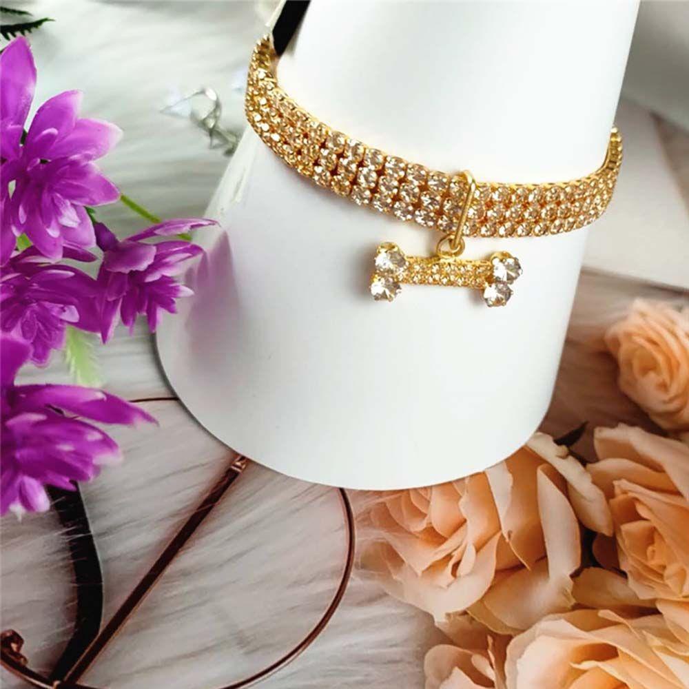 Vòng Cổ Thoát Nước Thời Trang Cho Thú Cưng