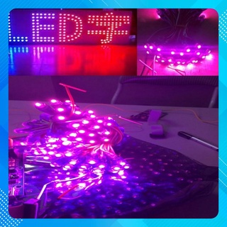 Bịch led ruồi 5mm 5V HỒNG