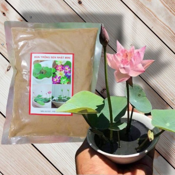 Bùn Khô Trồng Sen - Súng Mini Gói 500 Gram / Gói ( Hàng Loại 1 ) ( Hàng Loại 1 )