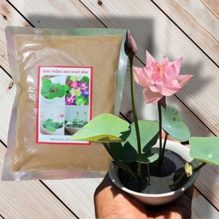 Bùn Khô Trồng Sen-Súng Mini Gói 500 Gram