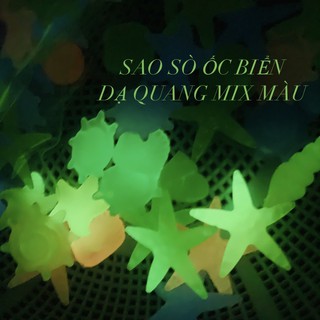 Sỏi Phát Quang Sao,Ốc, Sò Biển (Sáng Trong Bóng Tối) Trang Trí Hồ Cá, Sân Vườn...