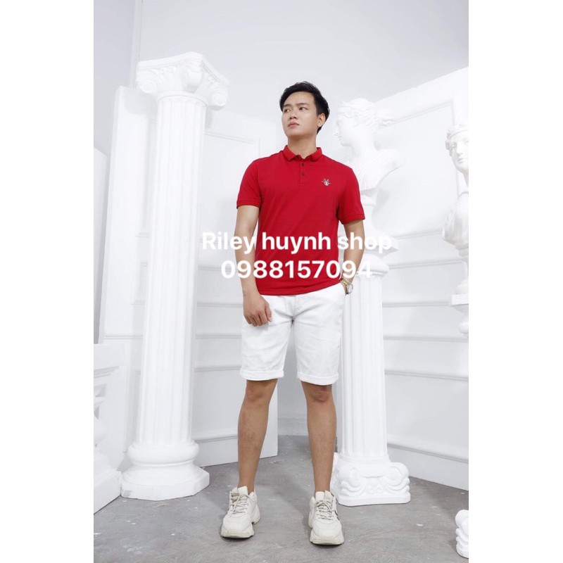 combo 3 ÁO THUN NAM CÓ CỔ RILEY HUYNH | BigBuy360 - bigbuy360.vn