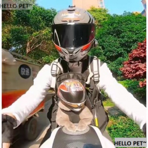 Mũ Bảo Hiểm Toàn Bộ Mũ Bảo Hiểm Phong Cách retro Cho Thú Cưng