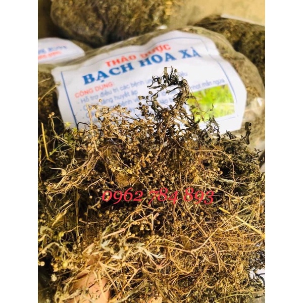 1kg Bạch Hoa Xà Thiệt Thảo (Sao vàng hạ thổ) hỗ trợ u bướu