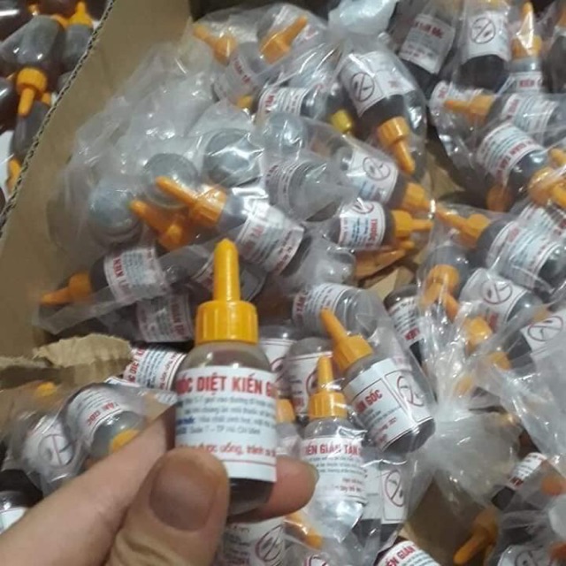 Thuốc diệt kiến gián