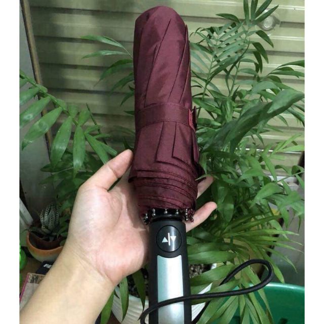 Ô DÙ GẬP MỞ TỰ ĐỘNG NHẬT BẢN CHÍNH HÃNG LOẠI 10 NAN CỨNG BỀN