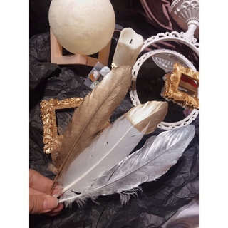 Lông vũ chụp nail