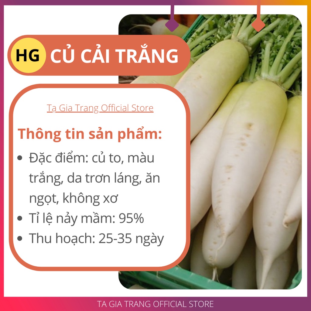 Hạt Giống Củ Cải Trắng Củ To, Năng Suất Cao, Dễ Trồng- Gói 25Gr