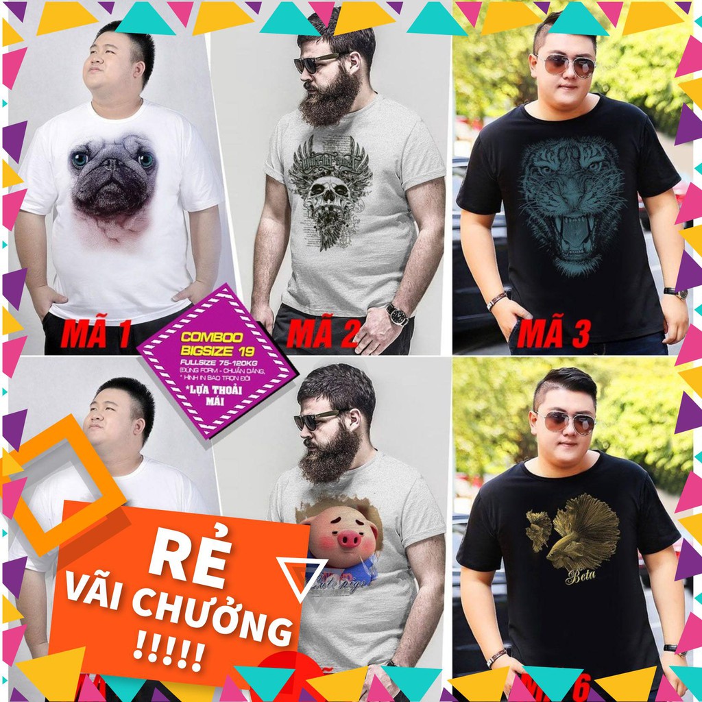 Áo in hình cho người béo