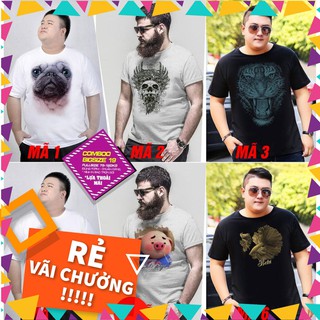 Áo in hình cho người béo