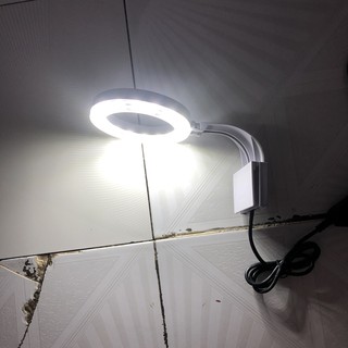 ĐÈN LED TRÒN XML TRẮNG - 3 MÀU KẸP BỂ CÁ