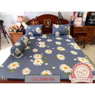 combo ga chống thấm suri 900