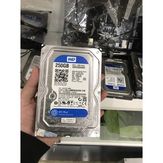 Ổ cứng hdd 3.5” western digital 250gb - chính hãng – bảo hành 1 tháng 1 đổi 1 – - hdd wd xanh