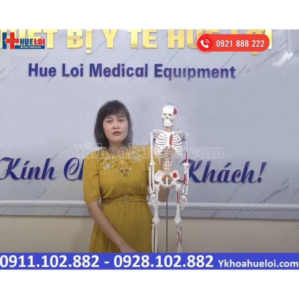 MÔ HÌNH GIẢI PHẪU TOÀN HỆ XƯƠNG NGƯỜI 85CM