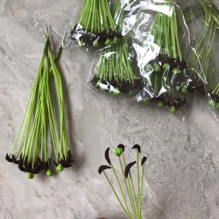 NHỤY HOA LILY BỘ