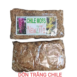 DỚN CHILE MOSS - DỚN TRẮNG NewZita Gói 100g