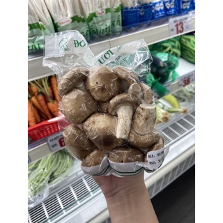 Nấm đông cô