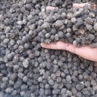 Sim Rừng Khô (500,1000g)