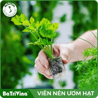 Thùng 1000 Viên nén ươm hạt BATRIVINA
