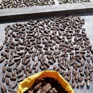 Bao 5kg nhàu
