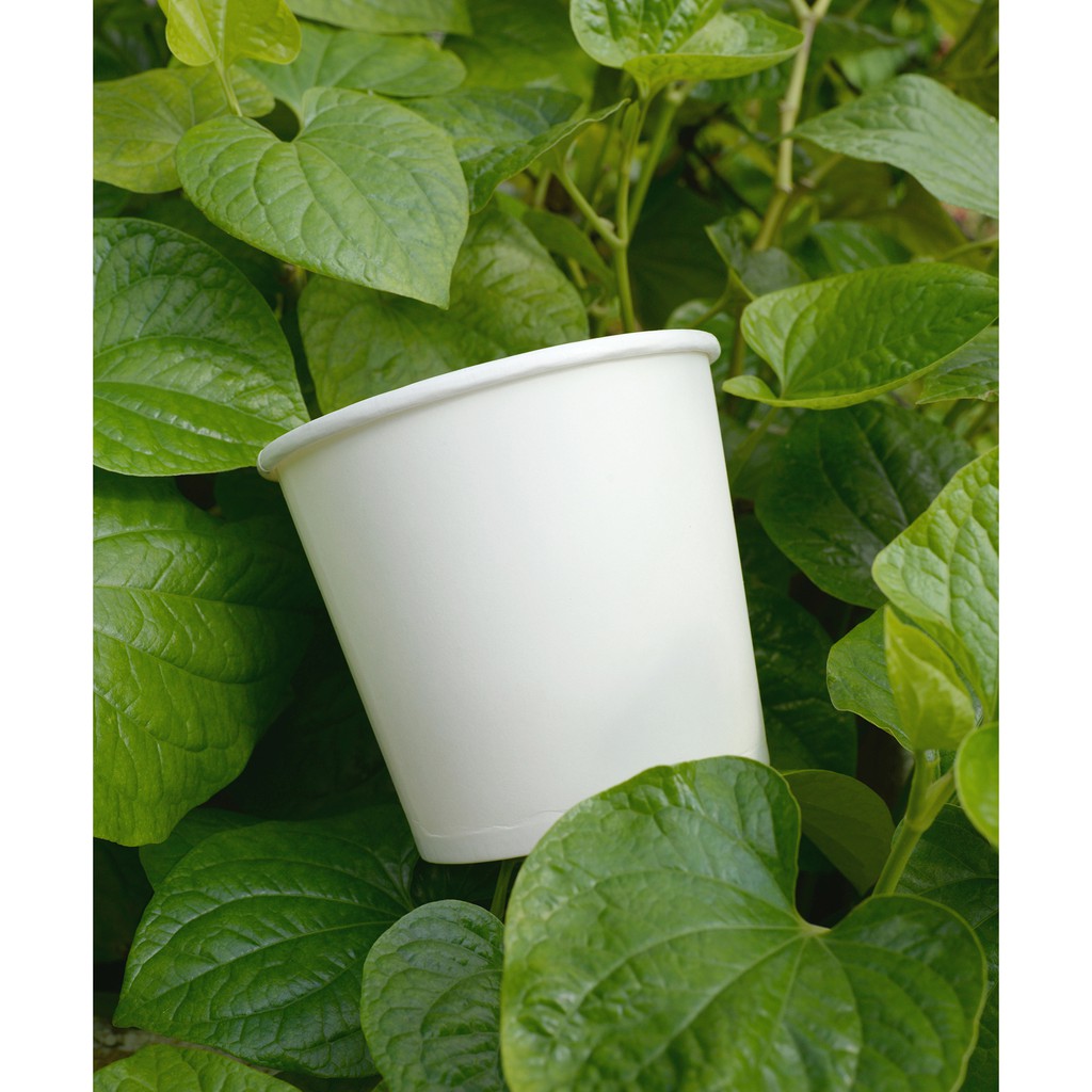 300 cái - Tô Giấy Bát Giấy 750ml