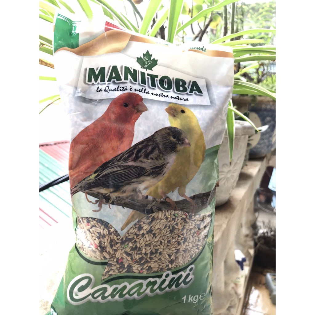 Hạt trộn Manitoba cho yến hót có hạt trái cây nhập nguyên gói 1kg